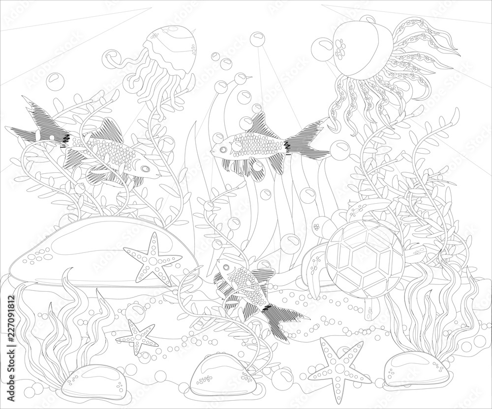 Fototapeta premium Underwater world. Anti stress coloring book for adult. Outline drawing coloring page. Black and white in zentangle style. Sea, shells. Marine theme.
