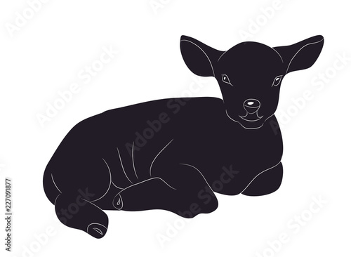 lamb lies drawing silhouette, vector