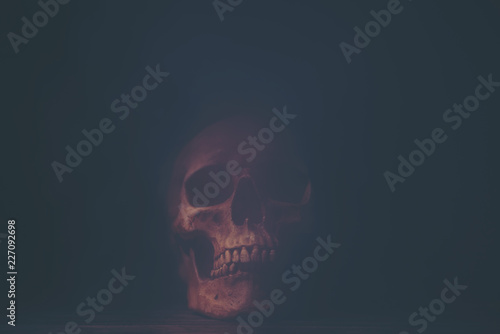 picture of Halloween concep...