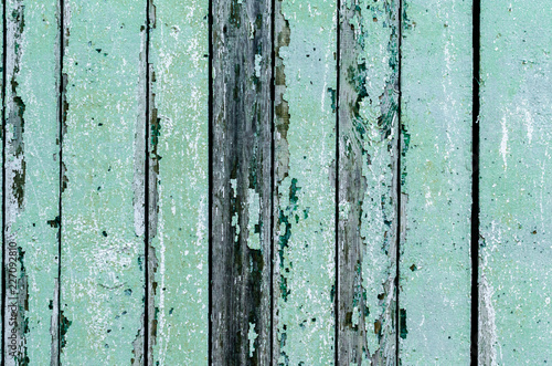 texture of old wooden surface with shabby green paint