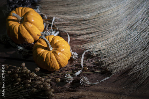 Halloween pumpkins, art pic...