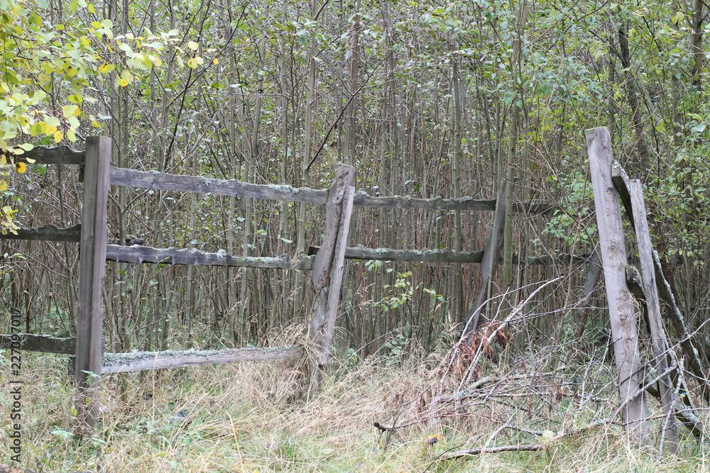 Fototapeta premium old wooden fence