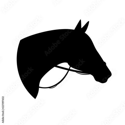 horse with bridle - black vector silhouette of animal head