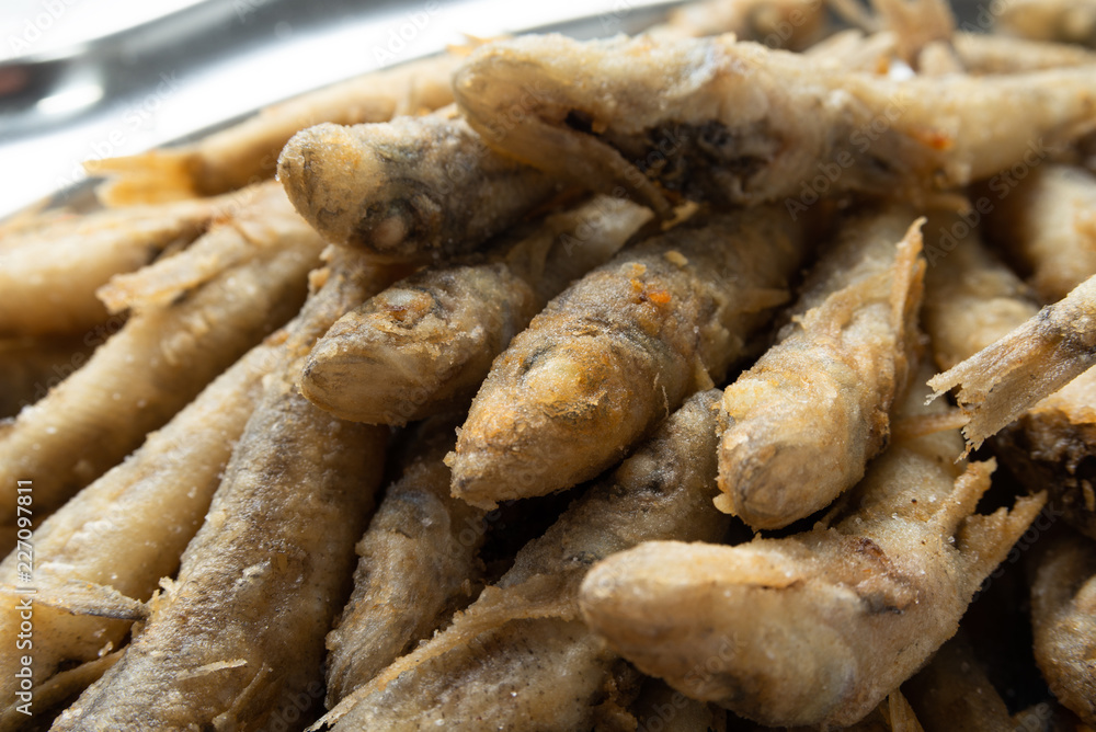 Bianchetti fritti, Mediterranean food Bianchetti fritti, Mediterranean food