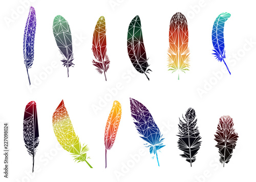 Set of feathers silhouettes on white background vector illustration Low poly triangular vector illustration EPS 10 isolated on white.  Polygonal style trendy modern logo design. 
