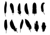 Set of feathers silhouettes on white background vector illustration 