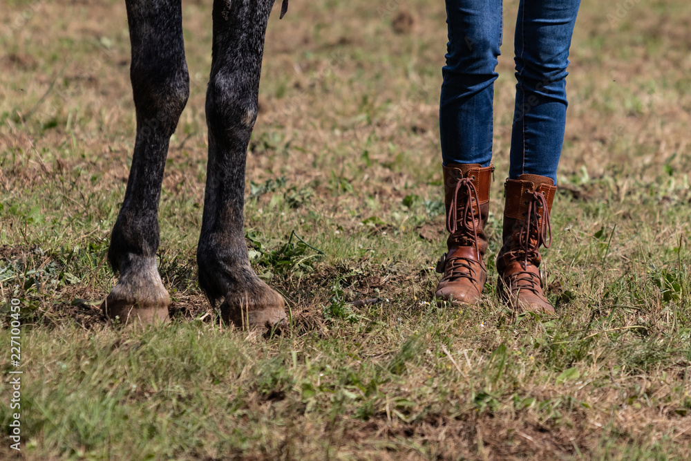 Foto Stock Beautiful slim legs in tight blue jeans. Country cow girl with  brown leather boots walking on dry grass, end of season moments. Farm life,  stylish woman.. | Adobe Stock