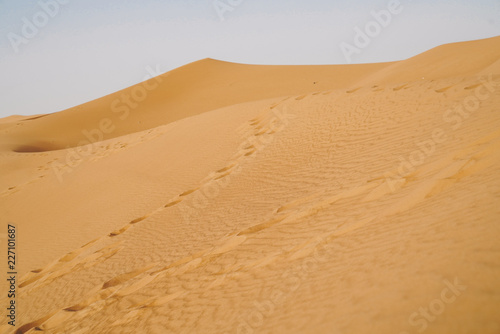 Landscape of sand dunes desert and footprints