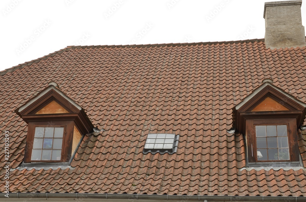 Tile Danish roof In Copenhagen, Denmark