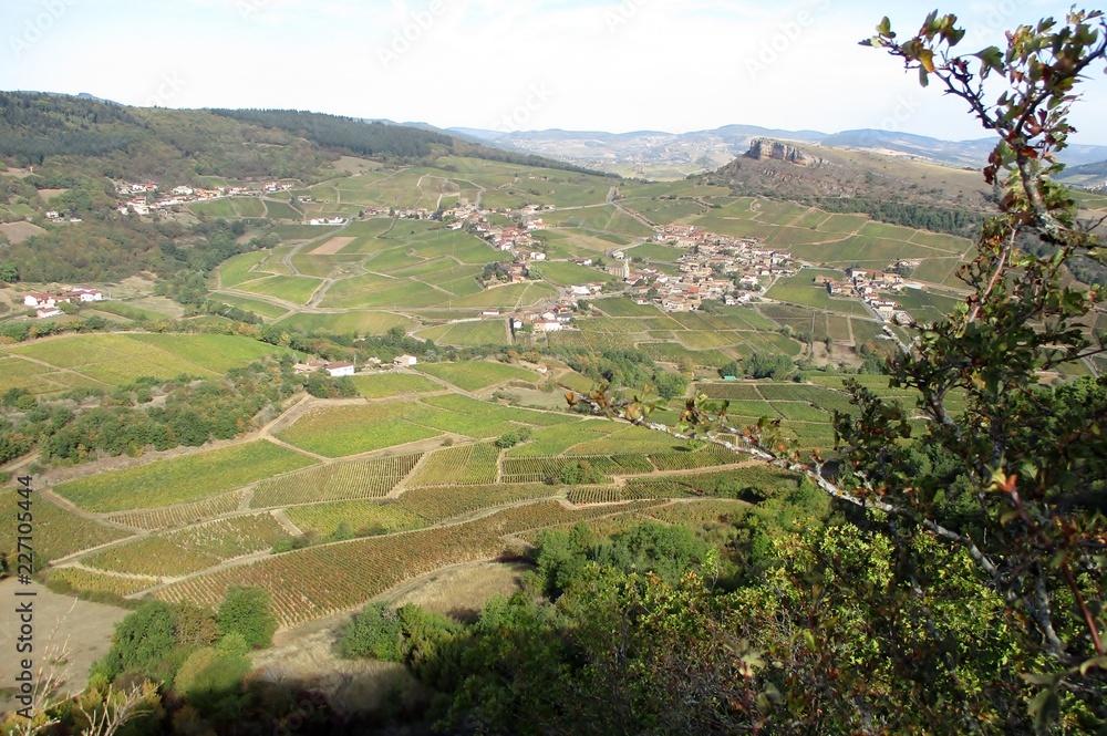 panorama étendu de la campagne viticole mâconnaise derrière des branchages verts