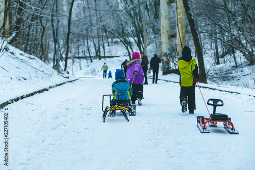 kids rid on sleigh in winter day