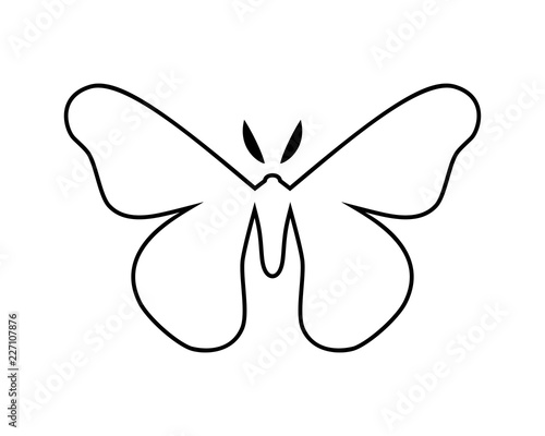 Hyalophora cecropia, cecropia moth stylized vector icon © kbel