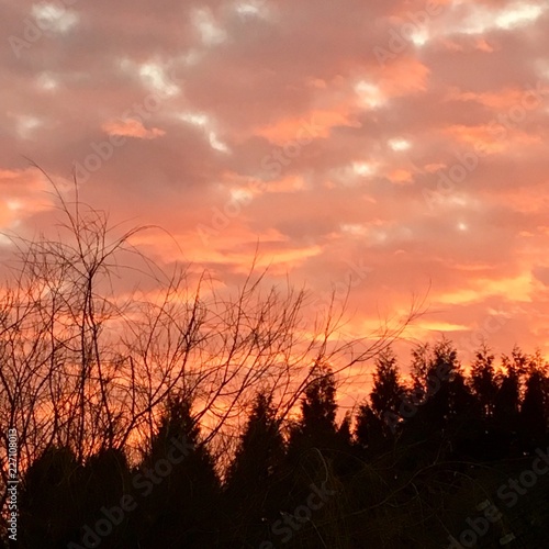 Beau ciel, paysage campagne © milachka