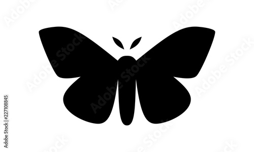Imperial Moth, Eacles imperialis vector illustration on white