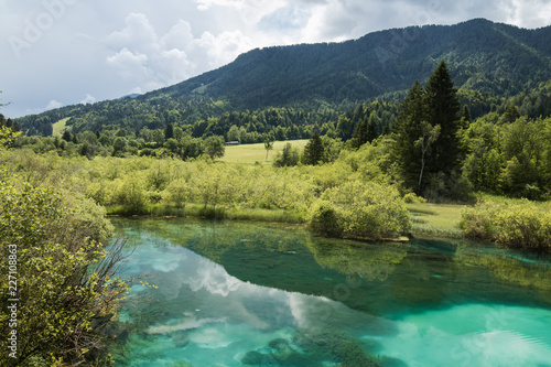 scenic destination zelenci - river dolinka source in summertime, slovenia photo