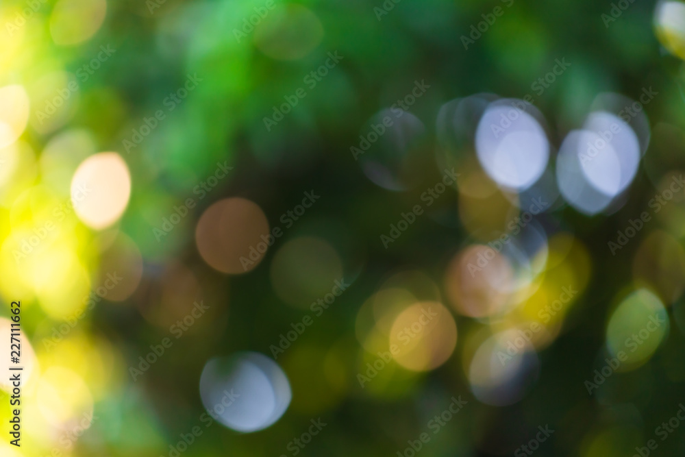 green bokeh background with circles. Summer abstract theme. green bokeh background with circles. Summer abstract theme.
