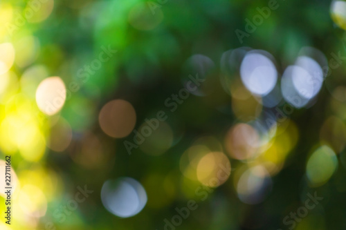 green bokeh background with circles. Summer abstract theme. © Thinapob