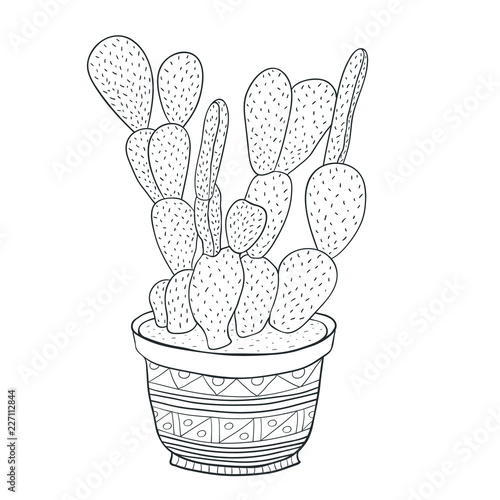 Cactus houseplant Illustration. Opuntia Vector line art. Adult coloring book page.