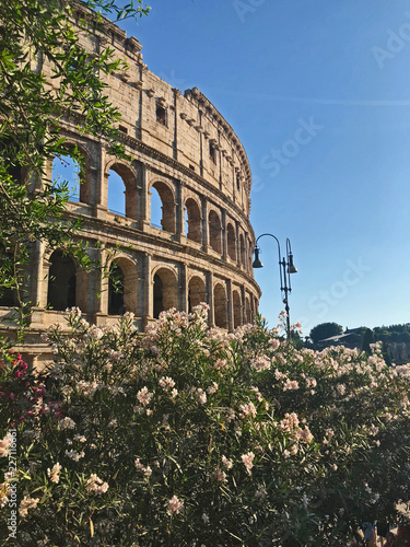 Roma, il Colosseo photo