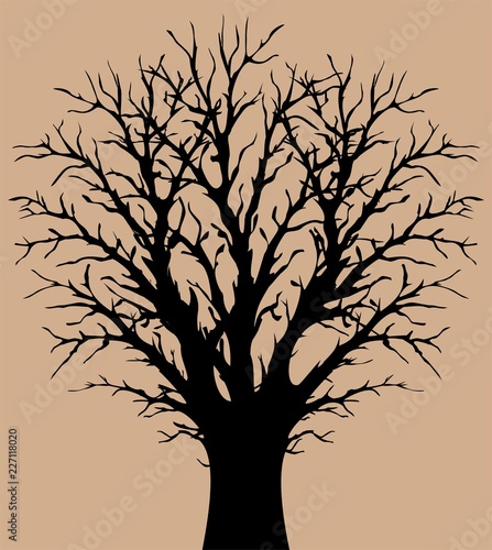 Winter tree illustration © abeadev