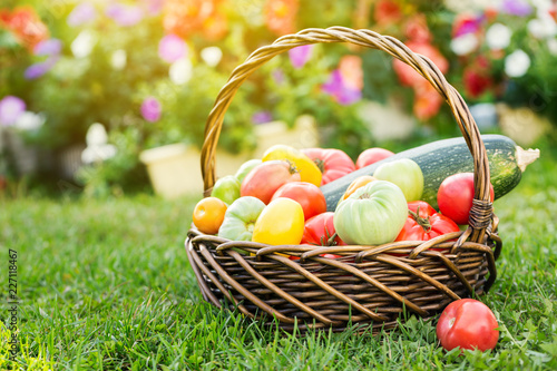 Fotografia Vegetables in basket at the garden, outdoor