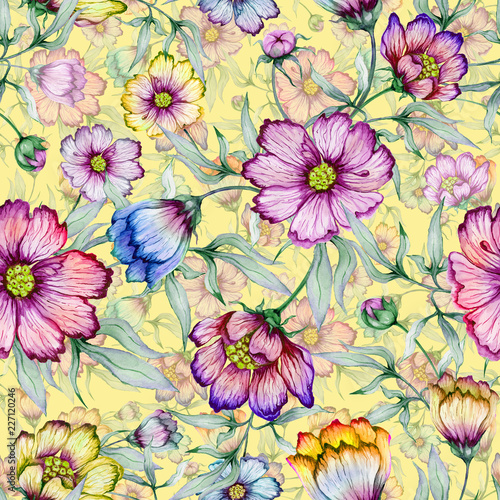 Beautiful colorful cosmos flowers with leaves on yellow background. Seamless floral pattern.  Watercolor painting. Hand painted botanical illustration.