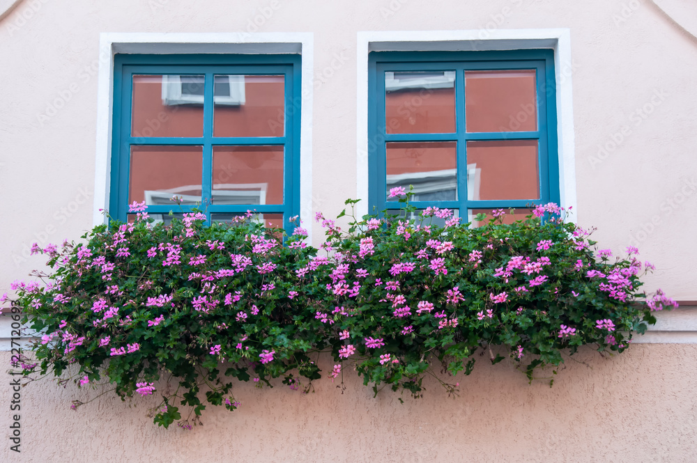 Fenster mit Blumenkästen