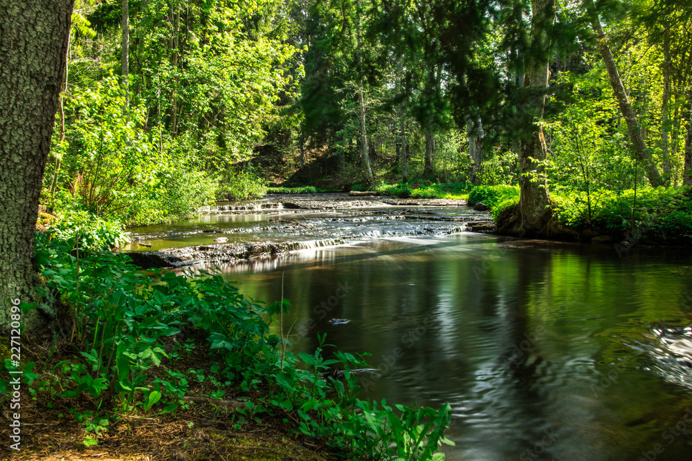 A beautiful small river in the wood