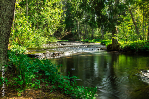 A beautiful small river in the wood