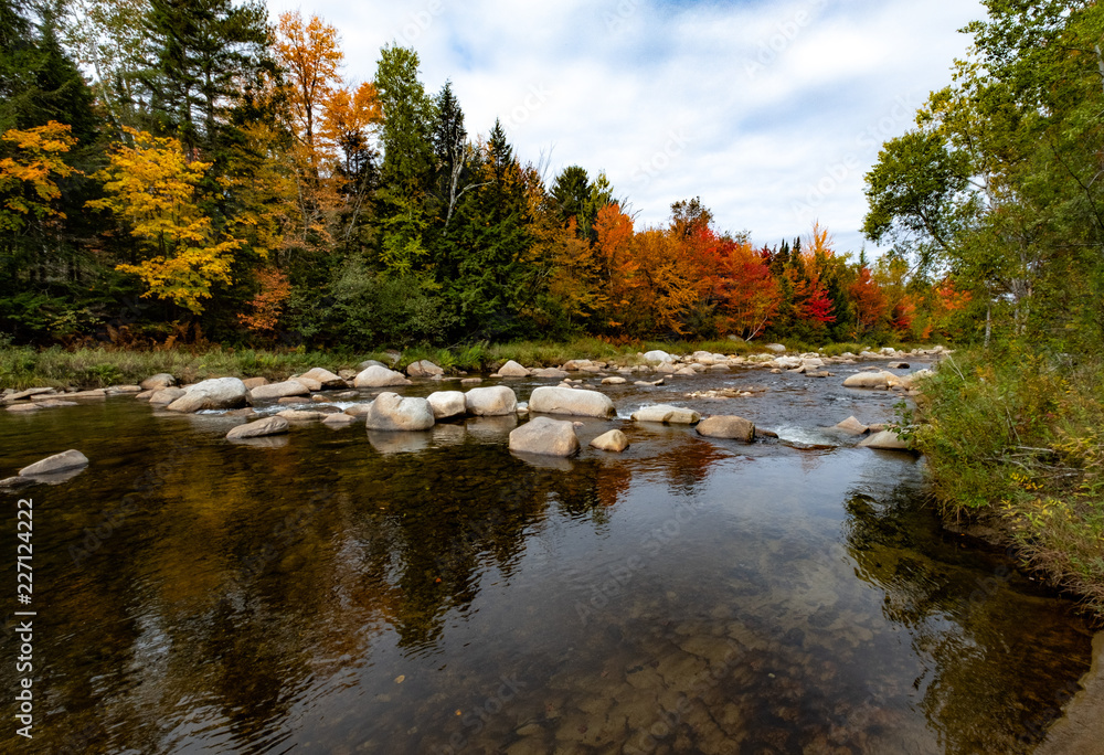 Fototapeta premium Foliage on the River