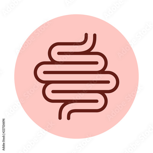 Digestive tract vector icon photo