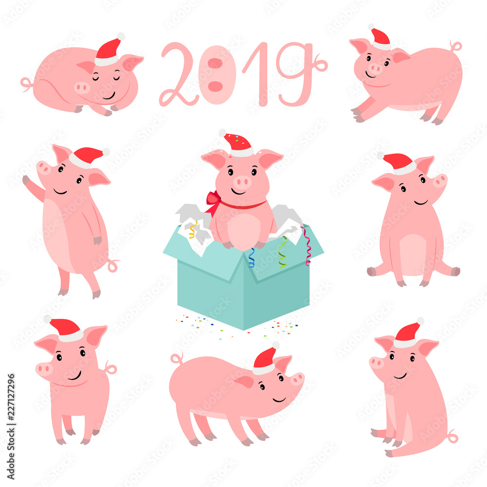 Obraz premium Pig new year character. Christmas pigs portrait vector illustration, winter cute pink pork pet isolated on white background