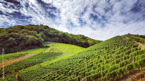 Vallée de l'Ahr et ses vignobles © YuricBel