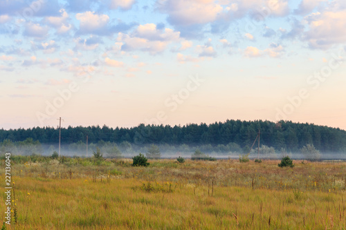 Summer landscape with green misty meadow, trees and sky. Fog on the grassland