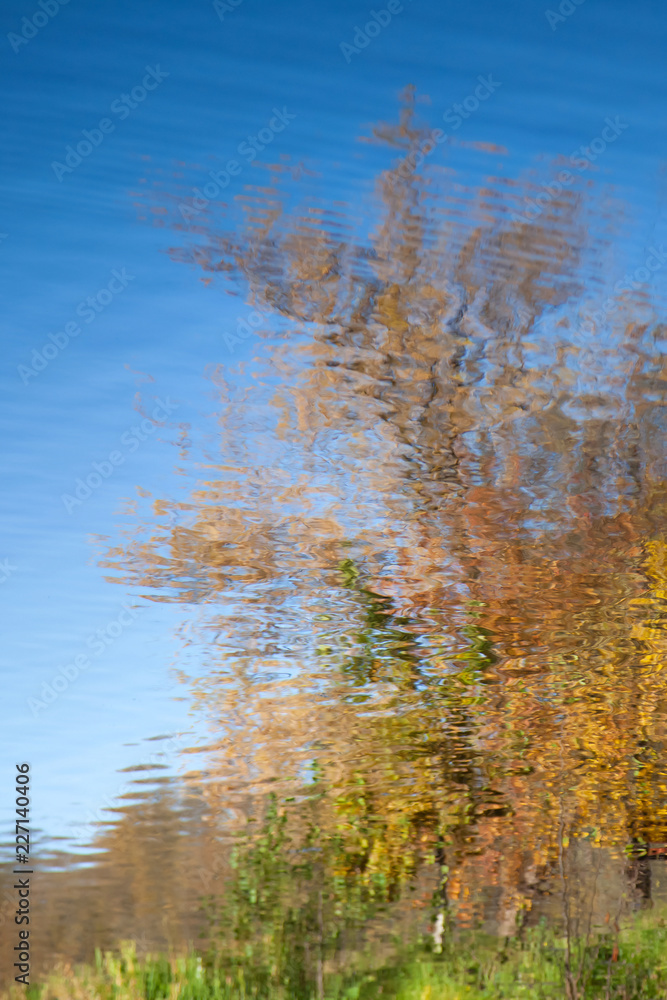Abstract background: reflection of the autumn park in the pond. Blue sky and yellow trees reflecting in a lake. Water ripples Abstract background: reflection of the autumn park in the pond. Blue sky and yellow trees reflecting in a lake. Water ripples