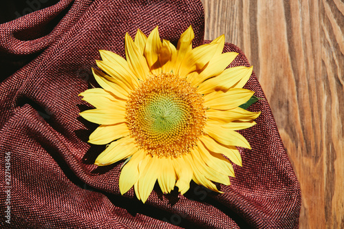 Fototapeta Naklejka Na Ścianę i Meble -  Beautiful yellow sunflower flower on brown textured textile and wooden background