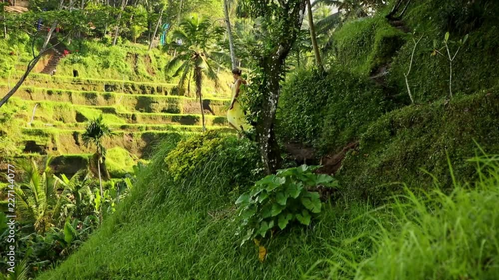 Hillside with rice farming. World's most beautiful mountains landscapes shape in nature. Typical Asian green cascade rice field terraces paddies. Ubud. Bali. Indonesia. Same as Chiangmai. Thailand. Hillside with rice farming. World's most beautiful mountains landscapes shape in nature. Typical Asian green cascade rice field terraces paddies. Ubud. Bali. Indonesia. Same as Chiangmai. Thailand.