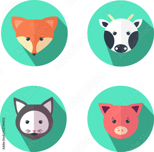 Animal icons in the style of flat design