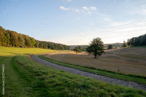 Autumn fields in English countryside with fenced track  blue skies and white clouds