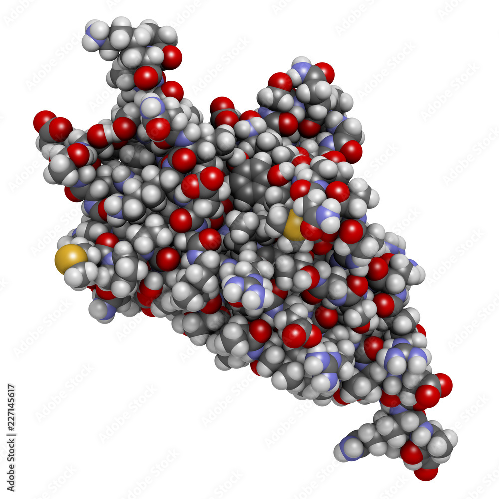 Programmed cell death 1 (PD-1, CD279) receptor protein. PD-1 is a major cancer drug target. 3D rendering. Atoms are represented as spheres with conventional color coding. Programmed cell death 1 (PD-1, CD279) receptor protein. PD-1 is a major cancer drug target. 3D rendering. Atoms are represented as spheres with conventional color coding.