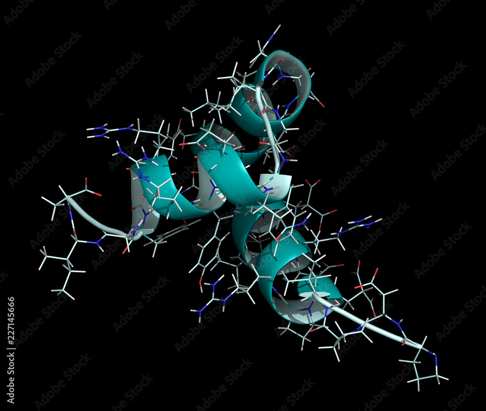 Osteocalcin bone-building hormone (porcine). 3D rendering, cartoon + line representation. N-to-C gradient coloring.