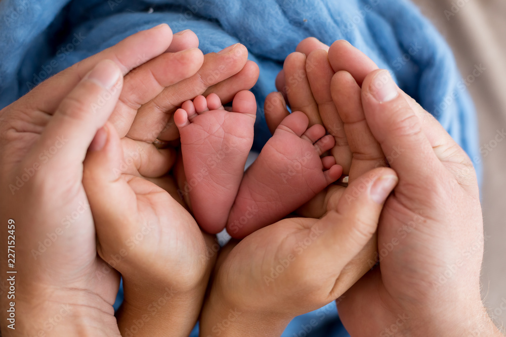 newborn legs in the hands of mom and dad. legs in hands on a blue background. baby's feet in the hands of parents newborn legs in the hands of mom and dad. legs in hands on a blue background. baby's feet in the hands of parents