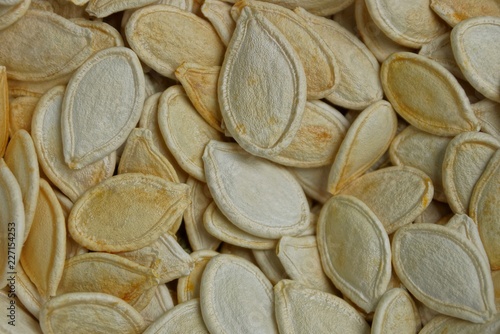 white natural plant texture from pumpkin seeds