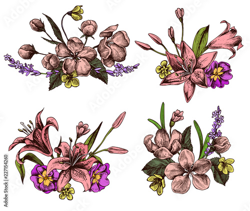 Vector collection of hand drawn lilies, chrysanthemums, primulas