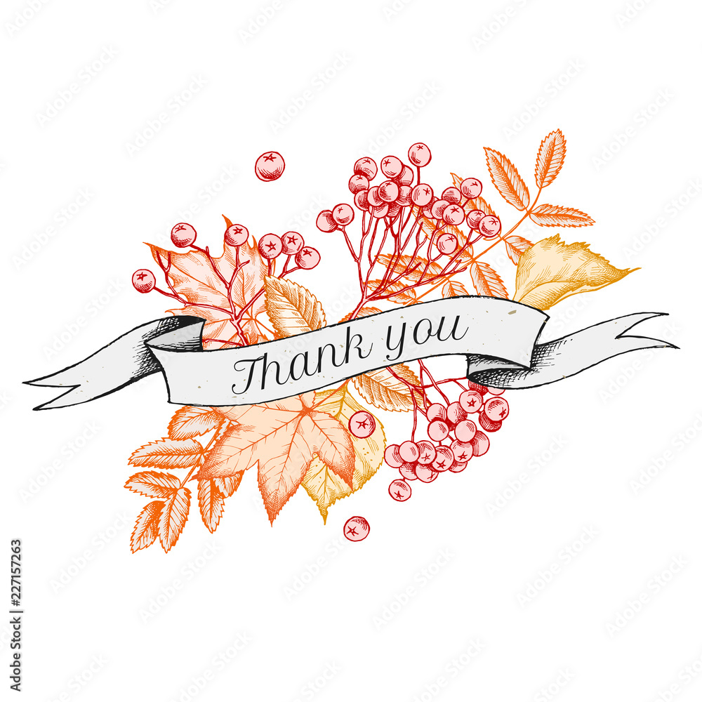 Ribbon design of autumn leaves with thank you sing. Hand drawn vector ...