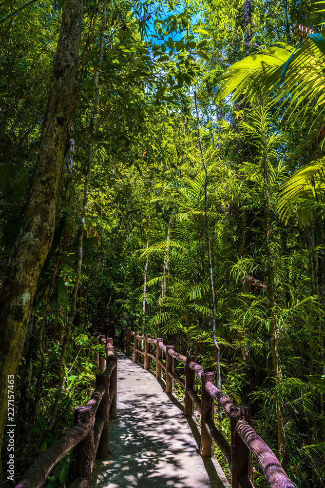 Fototapeta premium Emerald Pool, Yosemite National Park, Krabi, Thailand, Wooden pa