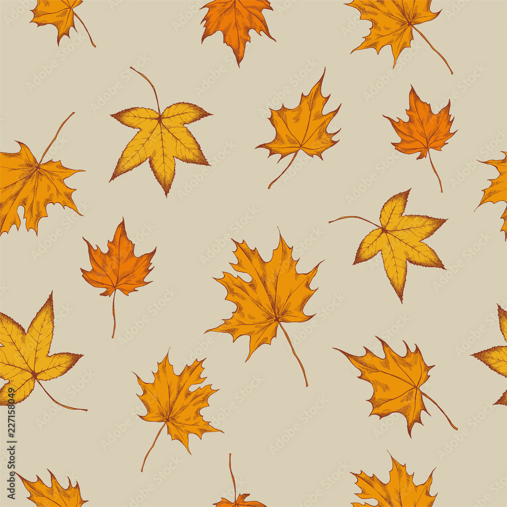 Vector seamless pattern of autumn pattern. Hand drawn vector illustration Vector seamless pattern of autumn pattern. Hand drawn vector illustration