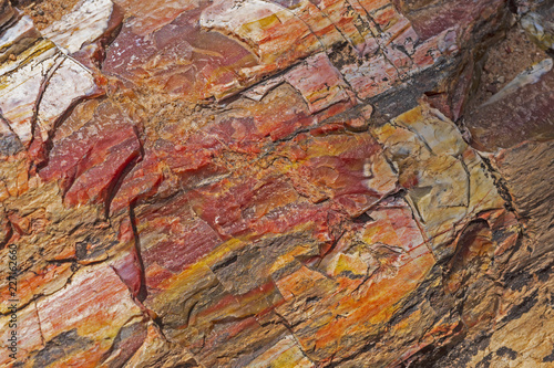 Petrified Rock Close-up © wildnerdpix