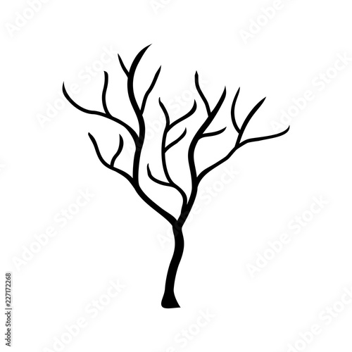 Silhouette tree without leaves vector  