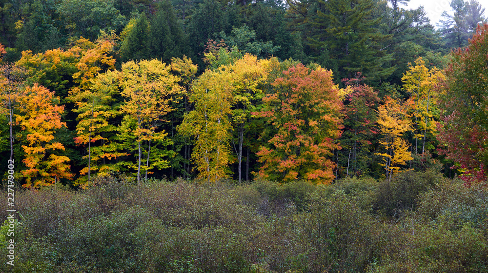 The changing of the seasons